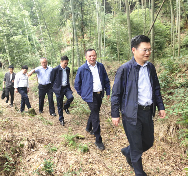 9月25日，上饶市政协副主席张保卫（前1）到万年县开展巡林活动。--上饶市林业局提供_副本.png
