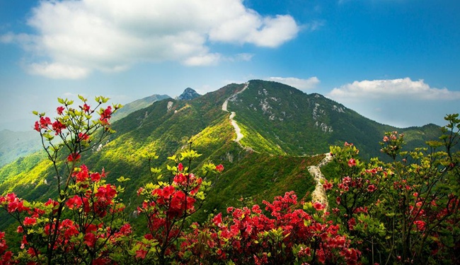 1631626382623444.jpg 111未命名_副本.jpg