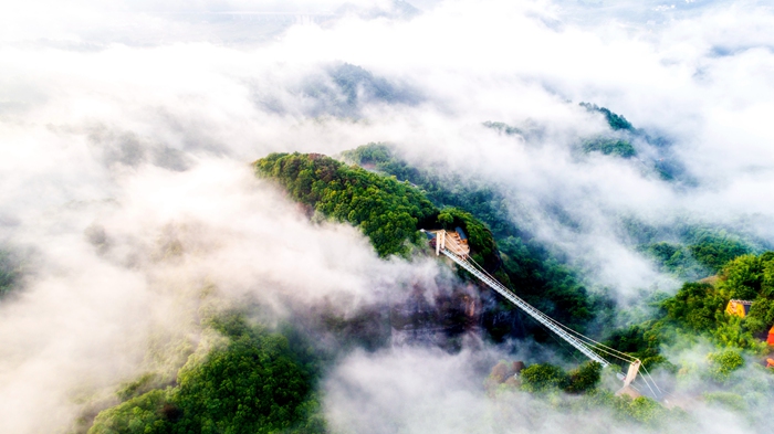 1724312992810725.jpg 29.jpg