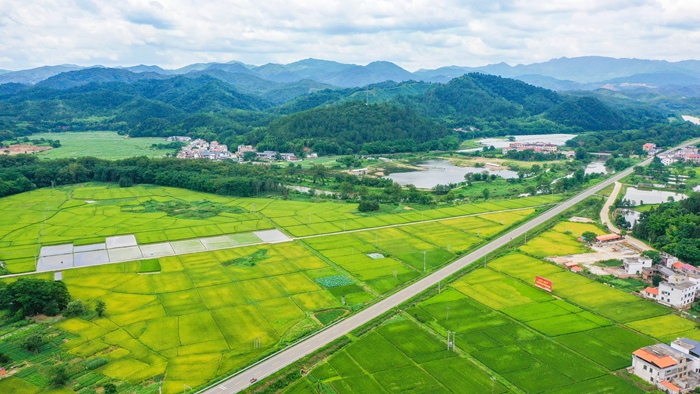 1724313130999207.jpg 30.jpg