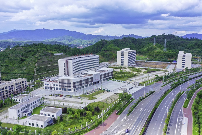 1724313145389122.jpg 31.jpg