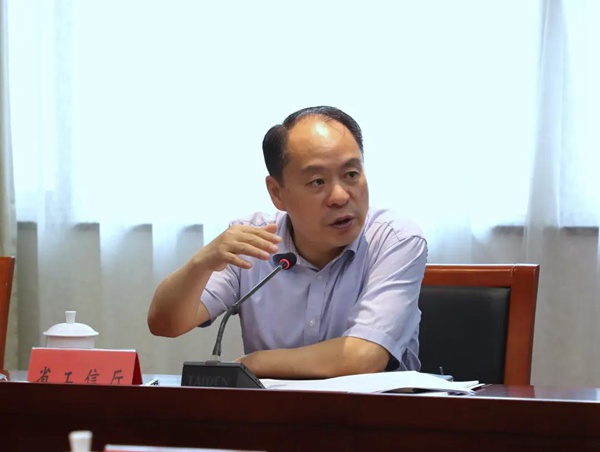 杨贵平:聚力产业发展 推动电子信息产业做优做强