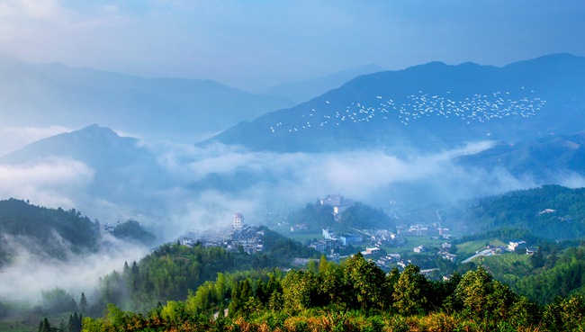 江西遂川县营盘圩千年鸟瞰-周建强 摄影2_副本.jpg