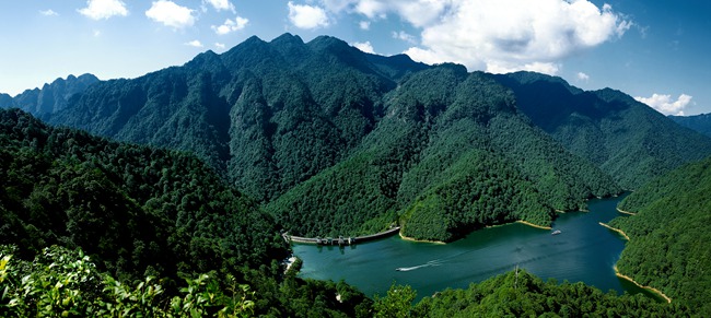 井冈山五指峰_副本.jpg