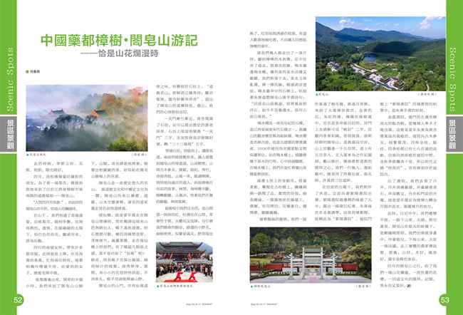 樟树旅投1.jpg