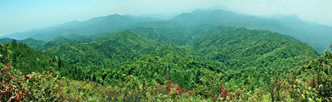 江西东江源桠髻钵山省级森林公园（东江源头桠髻钵山山顶俯看图）_副本.jpg