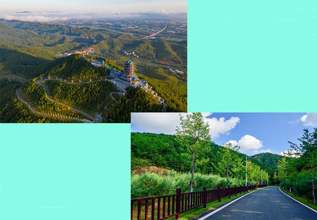 谷山森林公园.jpg