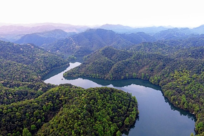 1609918127653008.jpg 1.金盆山林场境内龙井湖,是信丰县50万城乡居民主要安全饮用水水源地。_副本.jpg