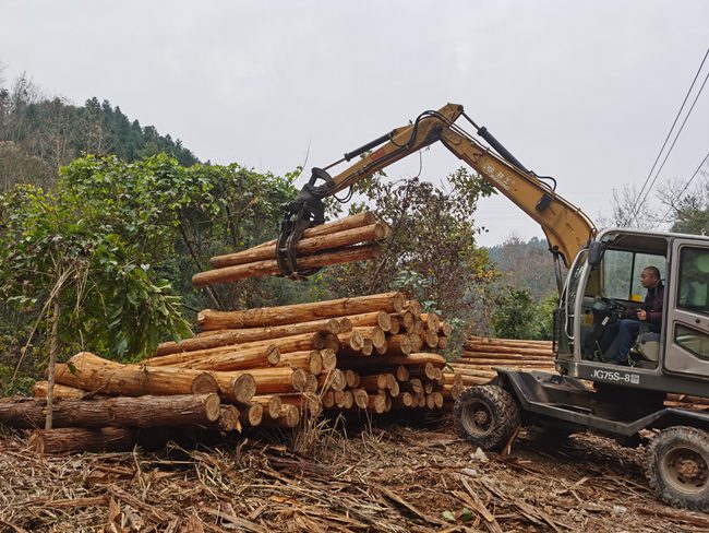 1609918334909523.jpg 4.金盆山林场采用机械采集木材。_副本.jpg