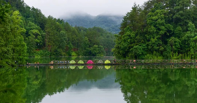 1617676089397740.jpg 333.jpg