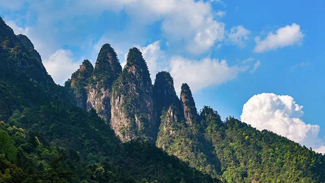 1617676290338956.jpg 444.jpg