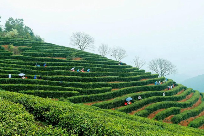 1617676340210643.jpg 555.jpg