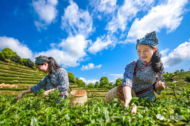 1617676393352367.jpg 666.jpg