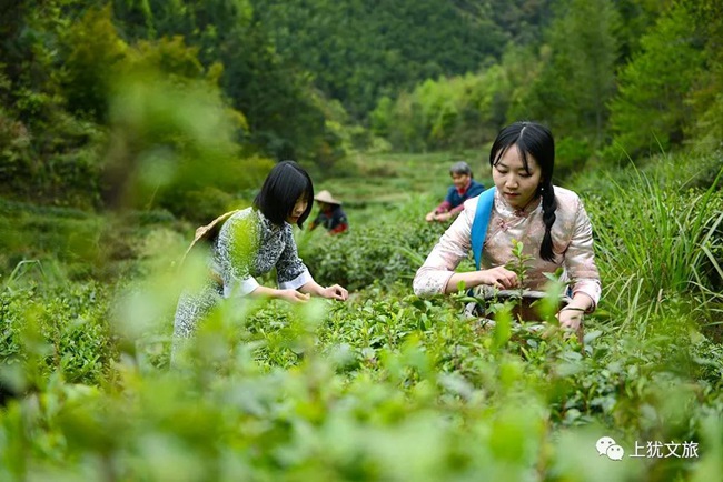 1617676442852792.jpg 6666.jpg