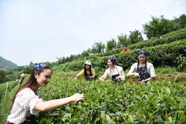 1617676516472115.jpg 777.jpg