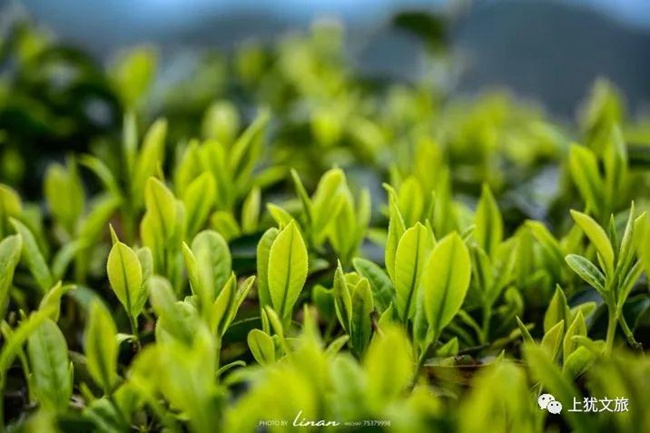 1617676736497236.jpg 5555.jpg