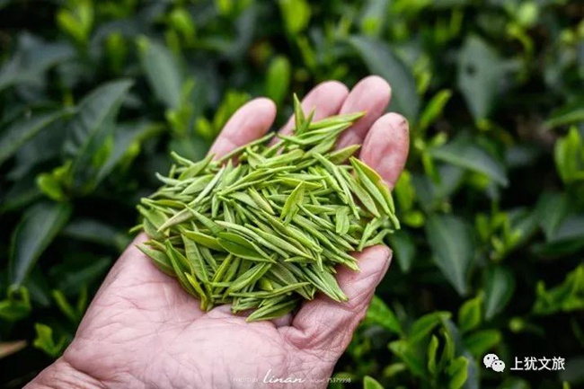 1617676862994594.jpg 3333.jpg