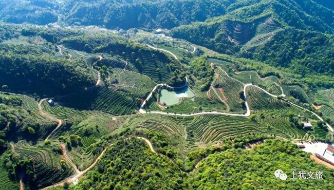 1617676911540620.jpg 7777.jpg