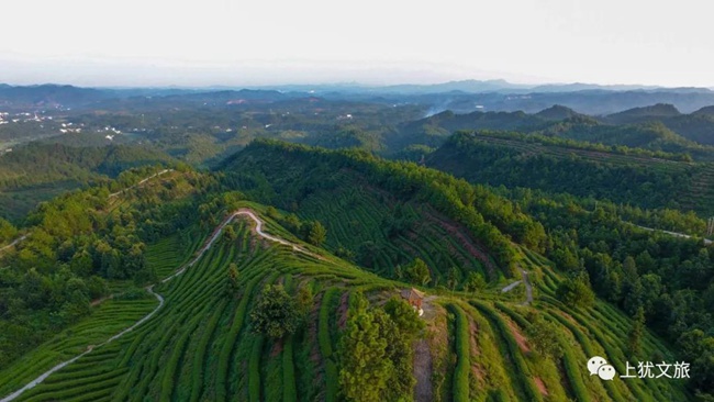 1617676972166152.jpg 55555.jpg