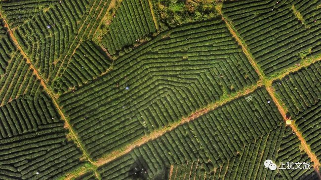 1617677048176849.jpg 1111.jpg