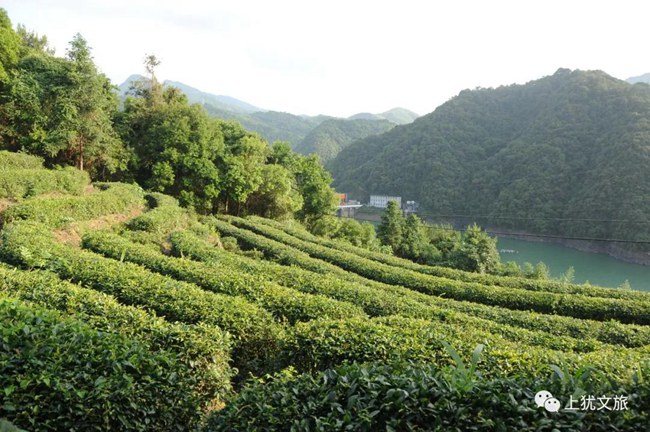 1617677119431742.jpg 66666.jpg