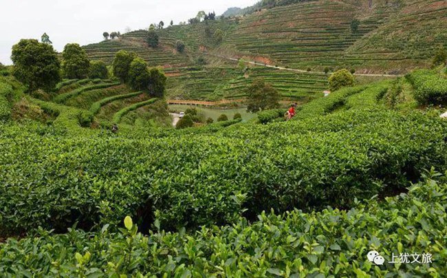 1617677250443685.jpg 0.jpg