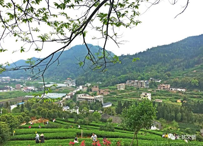 1617677508222832.jpg 00.jpg