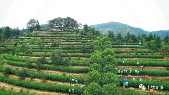 1617677606430830.jpg 000.jpg