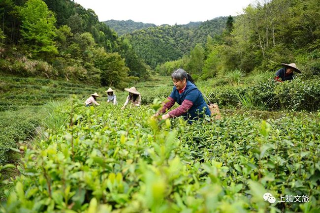 1617677878649042.jpg 02.jpg