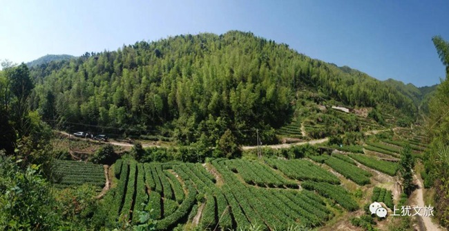 1617679139224385.jpg 03.jpg