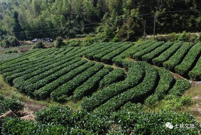 1617679259740929.jpg 04.jpg