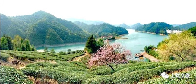 1617679365500501.jpg 044.jpg