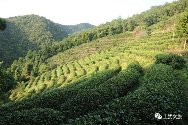 1617679417890733.jpg 055.jpg