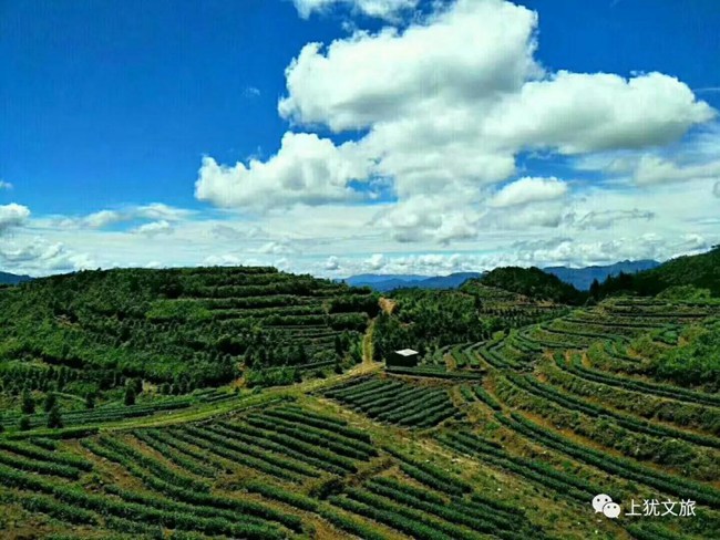 1617679480384885.jpg 06.jpg