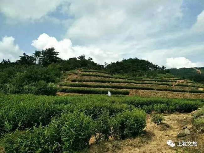 1617679526674750.jpg 07.jpg