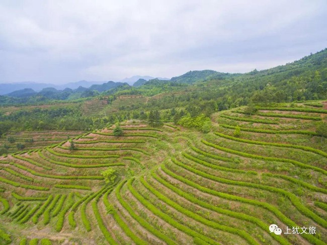 1617679855343816.jpg 08.jpg