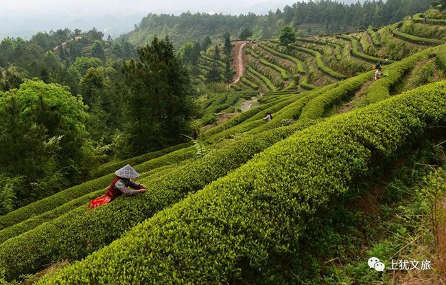 1617679911503534.jpg 09.jpg