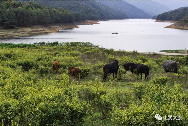 1617679983198202.jpg 65.jpg