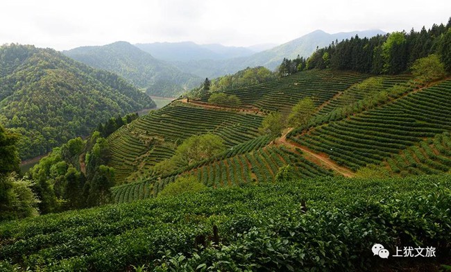 1617680544143559.jpg 064.jpg