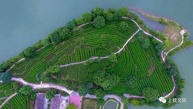 1617680637892776.jpg 065.jpg