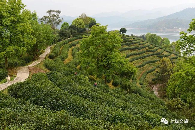 1617680704999311.jpg 0668.jpg