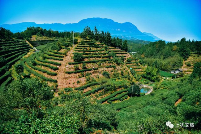 1617680808614581.jpg 099.jpg