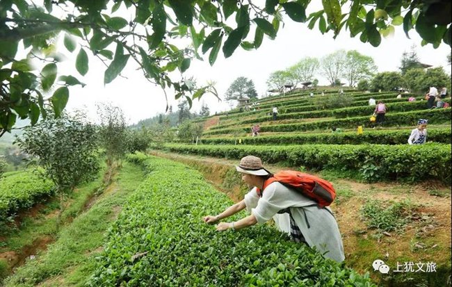 1617680979452879.jpg .jpg