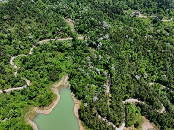 1652181405255867.jpg 11未命名_副本.jpg