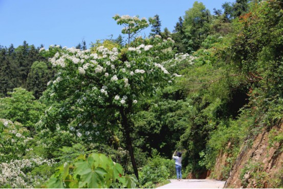 1652181436304601.jpg 22未命名_副本.jpg